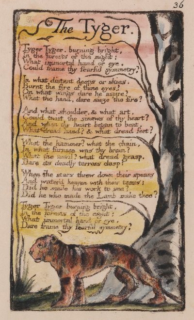 Lieder der Unschuld und der Erfahrung, Platte 36, Der Tiger (Bentley 42) von William Blake